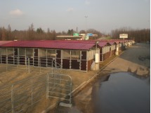 box e fence a noleggio 